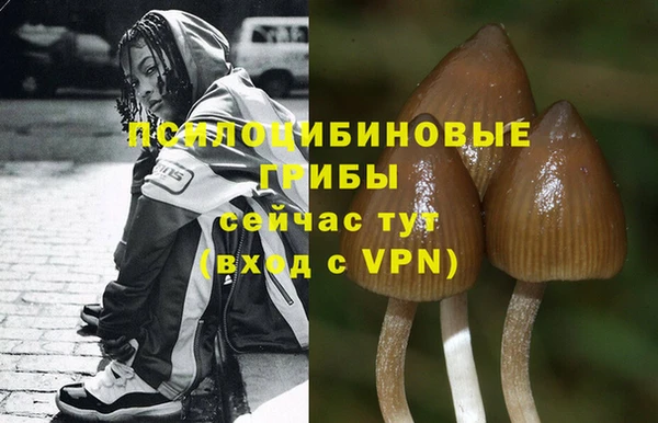 синтетический гашиш Дубовка