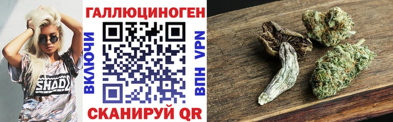 наркотики  Гуково  кракен вход  Псилоцибиновые грибы Cubensis 