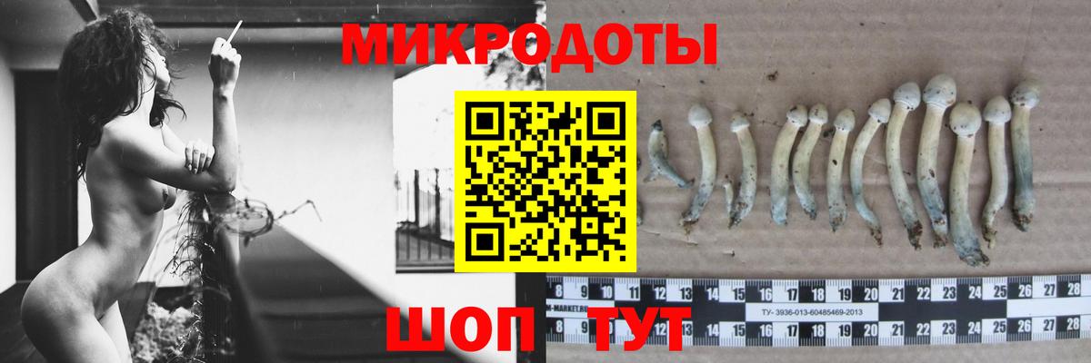 Галлюциногенные грибы прущие грибы Гуково