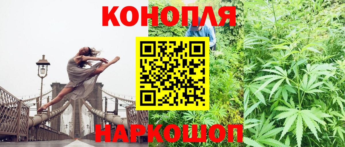 Каннабис планчик Гуково